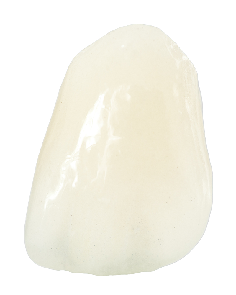 Dental Porcelain Crown | Tijuana